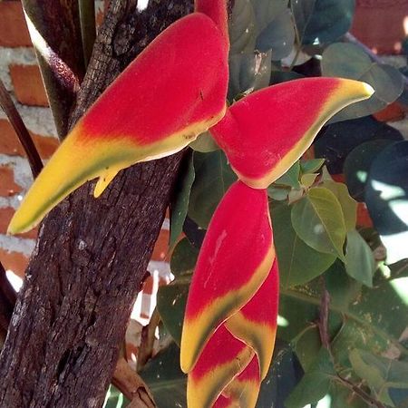La Cautiva Puerto Iguazu Ngoại thất bức ảnh
